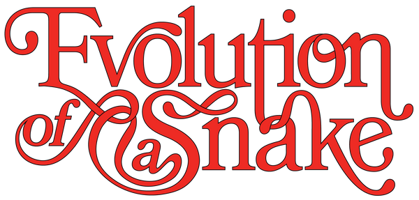 Evolution of a Snake