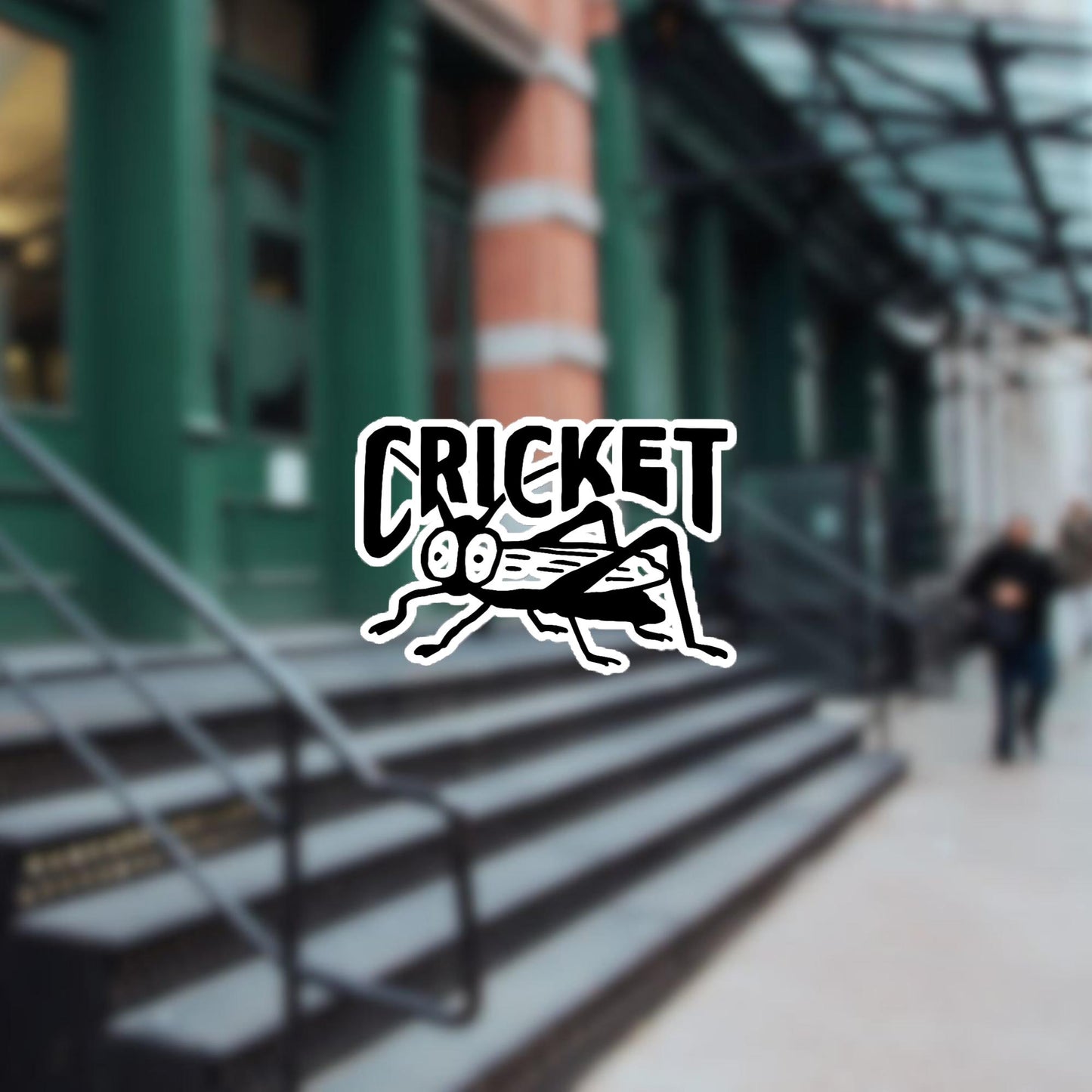 Cricket Sticker