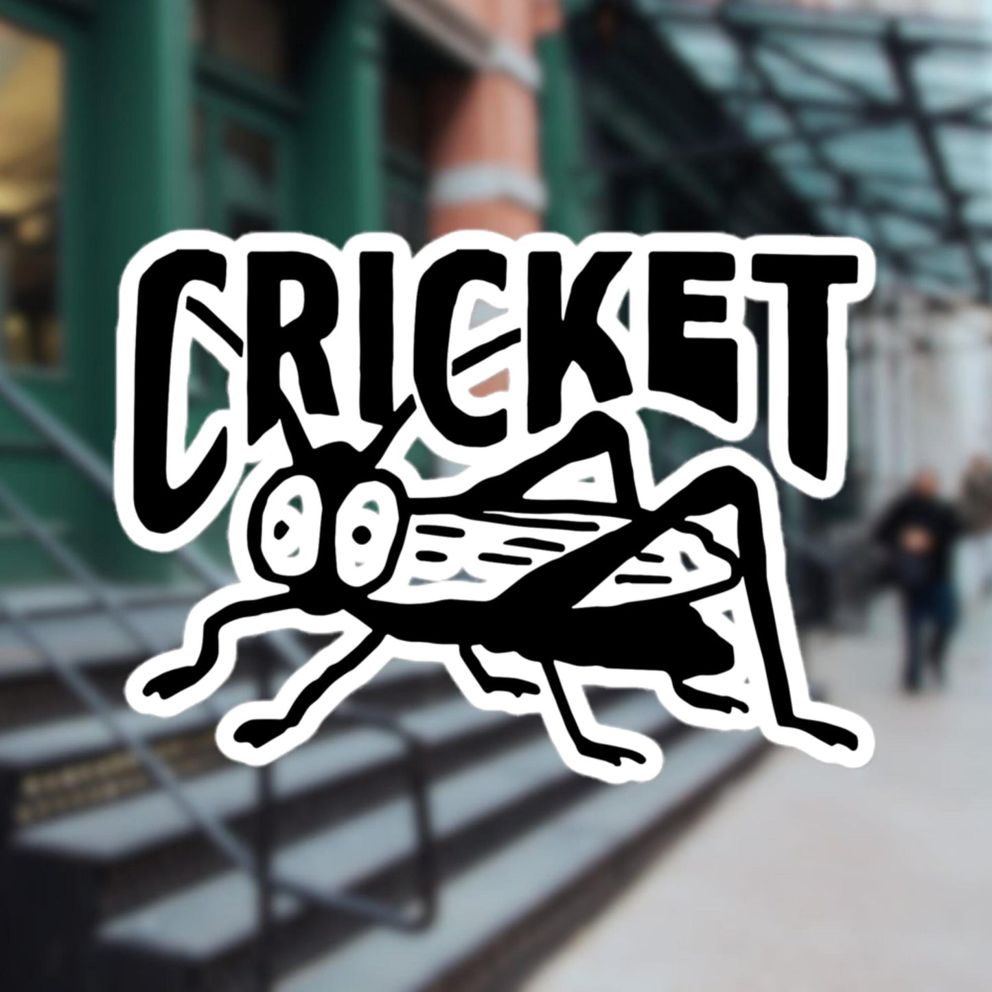 Cricket Sticker